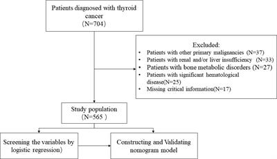 A practical dynamic nomogram model for predicting bone metastasis in patients with thyroid cancer